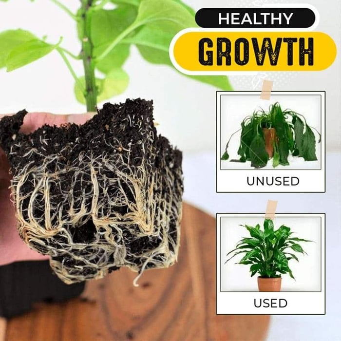 (Hot Sale- 48% OFF) 🔥Quick Rooting Powder